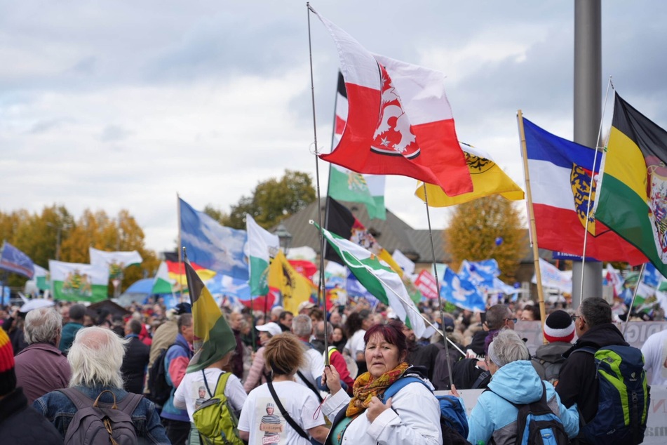 Einige Demonstranten brachten selbstgestaltete Flaggen mit, um die Bekanntheit ihrer Fantasieländer zu steigern.