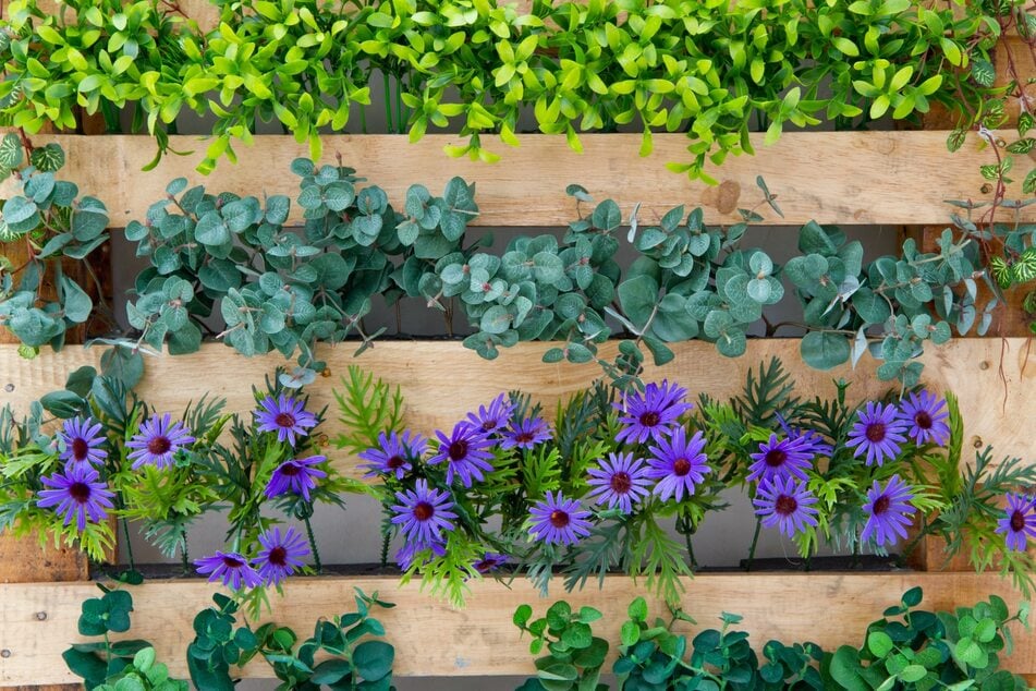 Blumen- und Gemüsebeete müssen nicht viel Platz einnehmen. Ein vertikaler Garten passt auch auf den Balkon oder sogar ins Zimmer.
