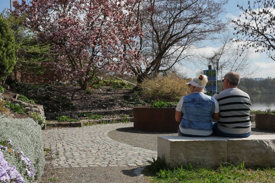 Frühlings-Boost für NRW: So warm wird es die nächsten Tage wirklich