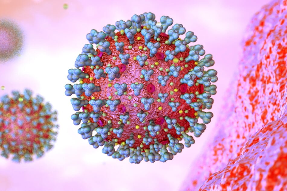 Mikroskopische Darstellung des Corona-Virus.