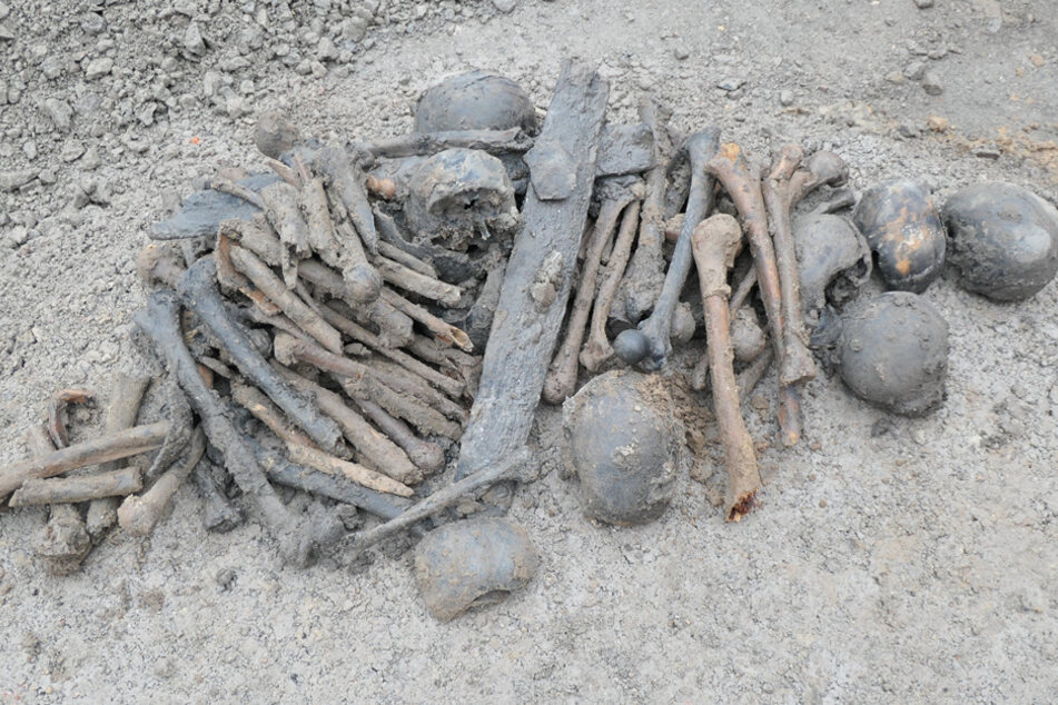 Mehrere Knochen und Schädel wurden am Mittwoch bei Bauarbeiten entdeckt.