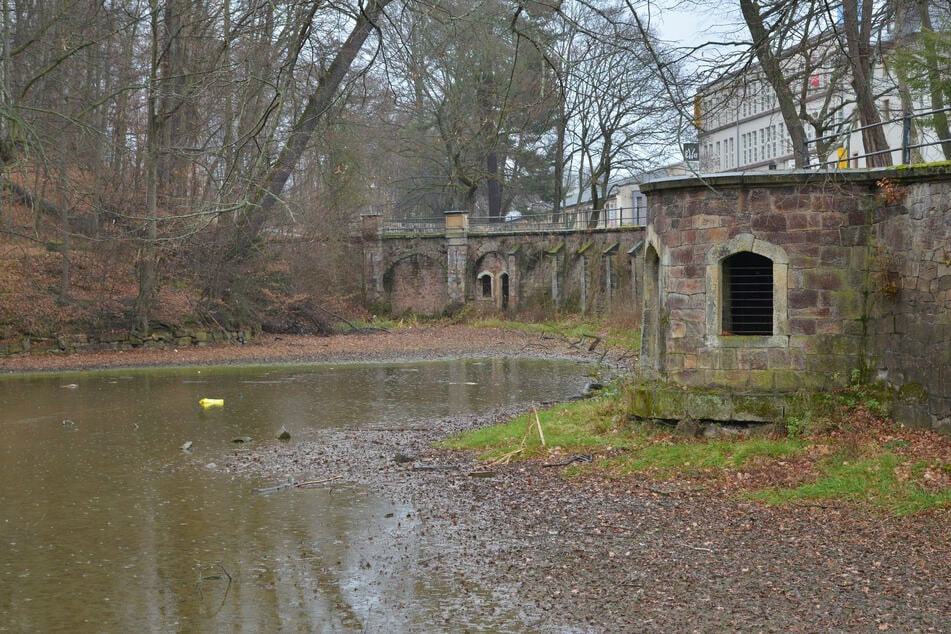 In der ersten Stufe wird der Teich im Schönherrpark zunächst abgelassen. (Archivbild)