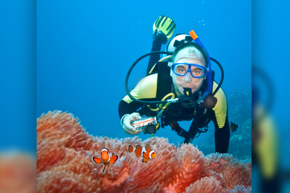 Key Largo ist ein Geheimtipp für Wassersportler: Hier verfolgt ein Taucher Clownfische.