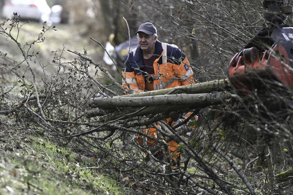 Traurige Bilanz nach den Sturmtiefs: 100.000 Bäume in Hessen umgeweht