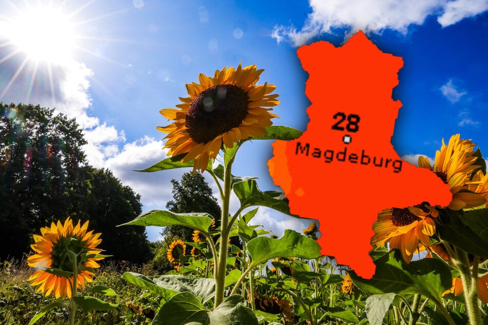 Das Wetter in Sachsen-Anhalt wird sonnig und warm.