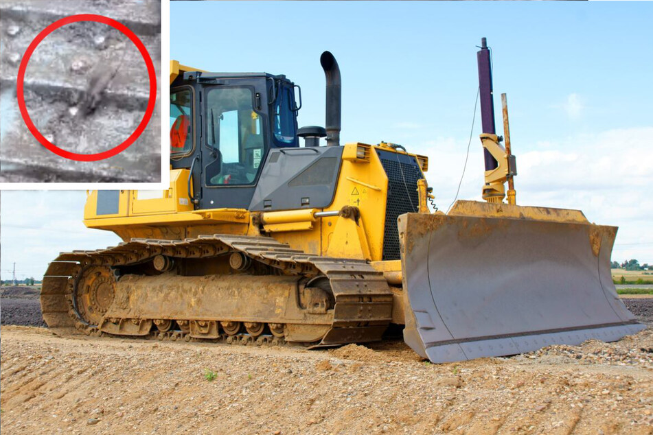 The bulldozer was no match for one mighty mouse (stock image).