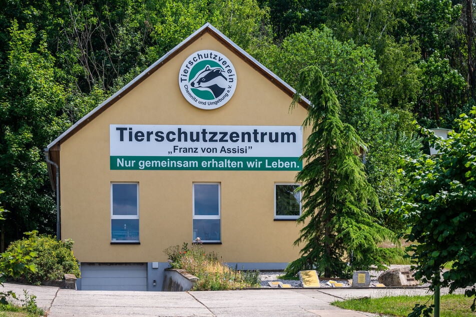 Das Tierschutzzentrum „Franz von Assisi“ ist Am Pfarrhübel in Altchemnitz.