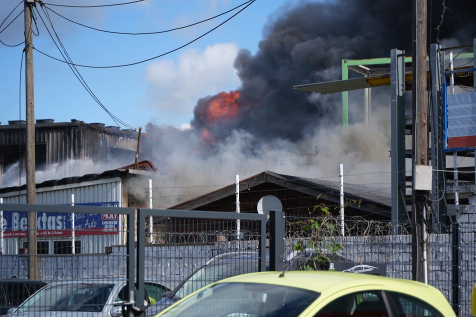 Bei dem verheerenden Feuer sind keine Menschen verletzt worden.