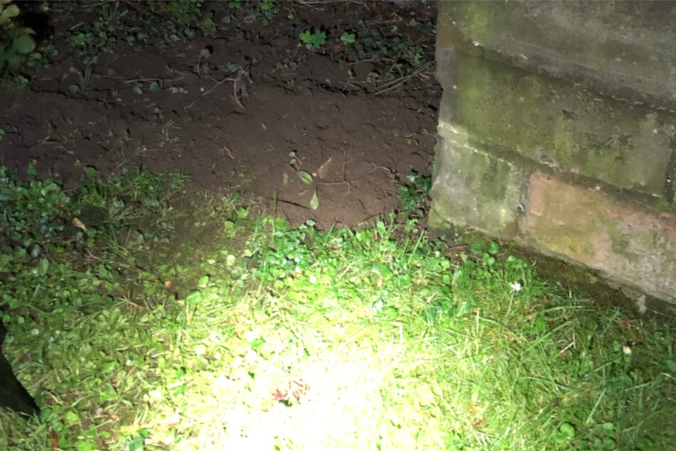 In der Nacht auf Montag vergrub eine ältere Frau einen toten Igel vor der Kirche in Wolmirstedt.