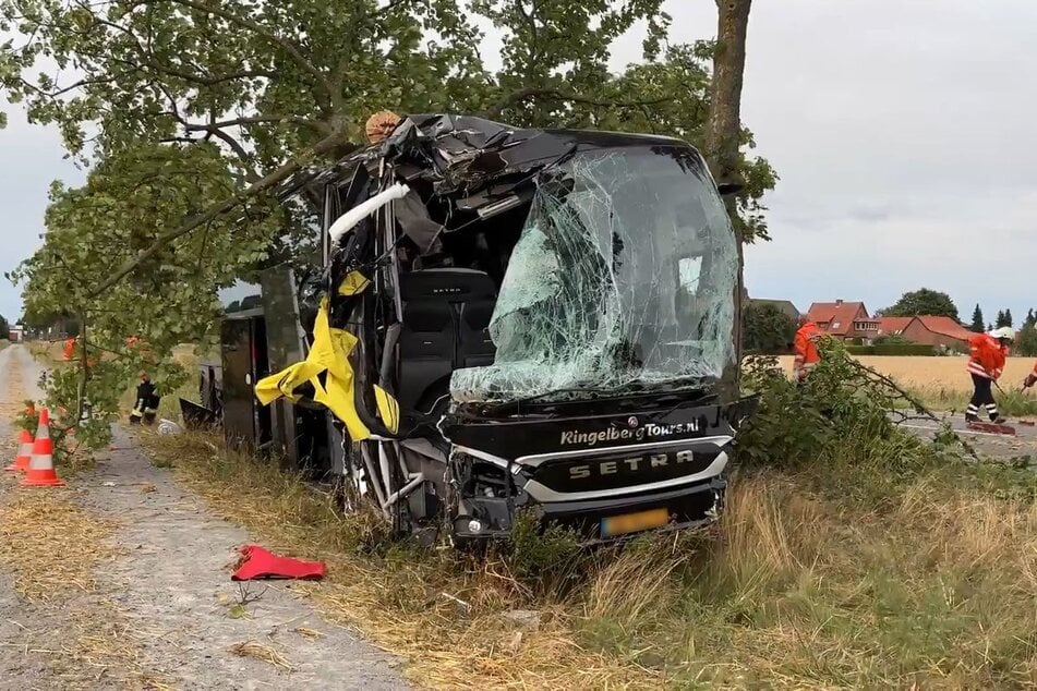 Der Bus kam von der Straße ab und durchtrennte zwei massive Bäume.