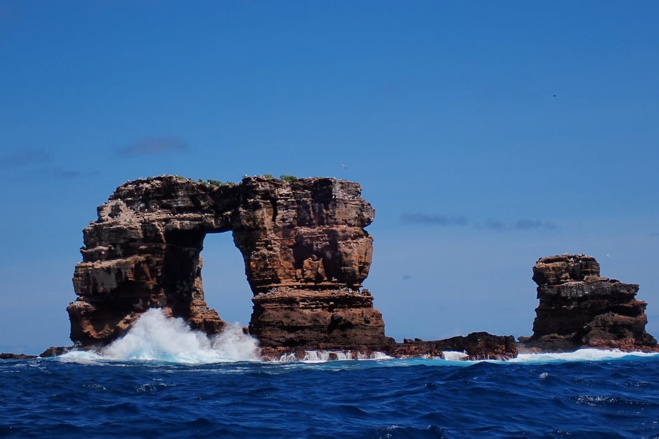 Forscher stießen in der Tiefsee vor den Galápagos-Inseln auf die neue Tierart.