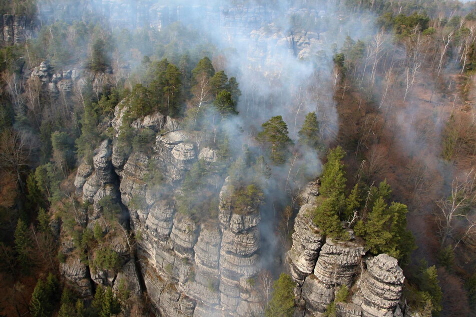Pyro-Idioten aus Deutschland verursachten einen Waldbrand.