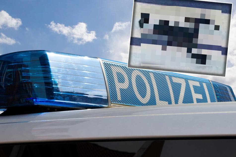 Panik vorm Schlafengehen: Achtbeiniger Exot ruft Polizei auf den Plan