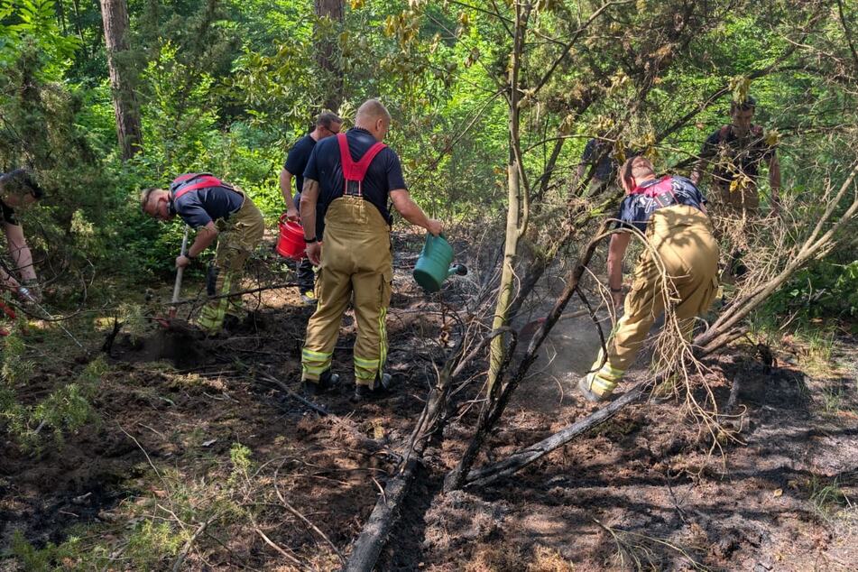 Die Dresdner Feuerwehr setzte in der Heide auf Gießkanne und Spaten.