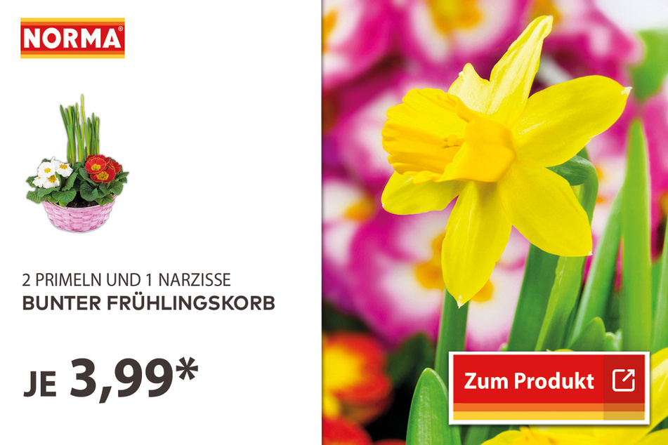 Bunter Frühlingskorb für 3,99 Euro.