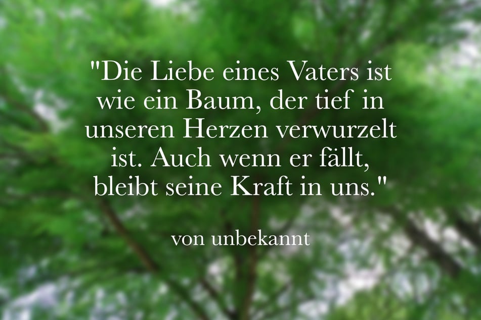 Die Liebe eines Vaters ist wie ein Baum, der tief in unseren Herzen verwurzelt ist. Auch wenn er fällt, bleibt seine Kraft in uns.