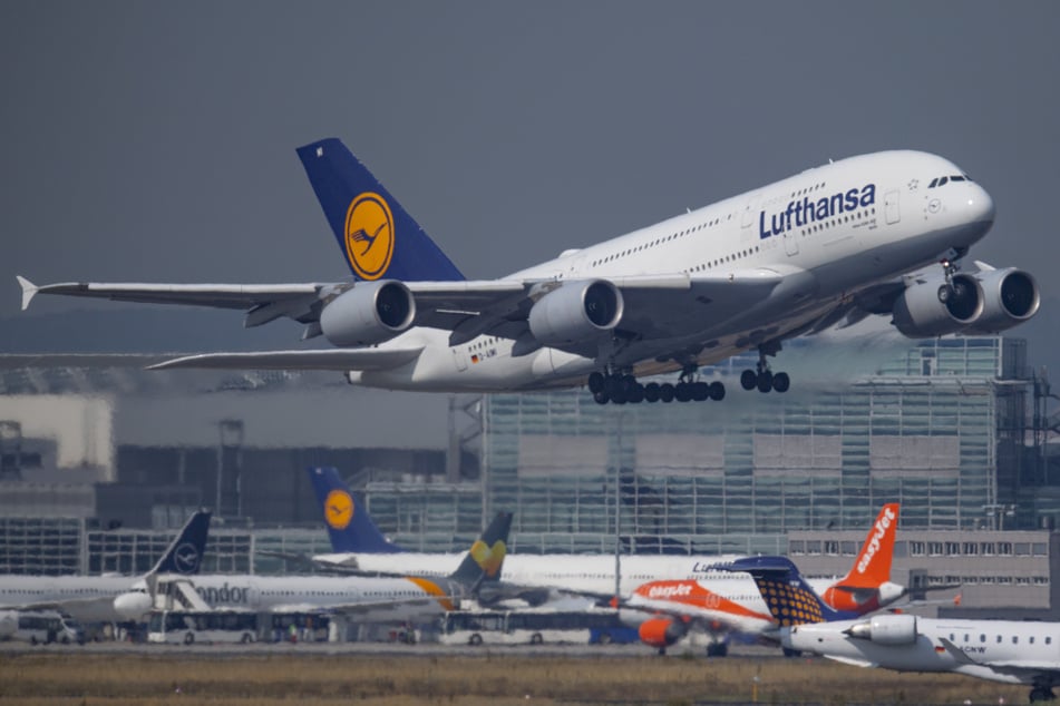 Lufthansa: Tausende Deutsche sitzen fest: Lufthansa-Maschine fliegt leer nach München