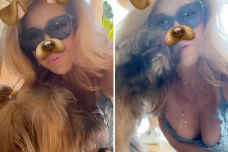 Carmen Geiss: Carmen Geiss zeigt tiefen Ausschnitt: Hund Dex gefällt das!