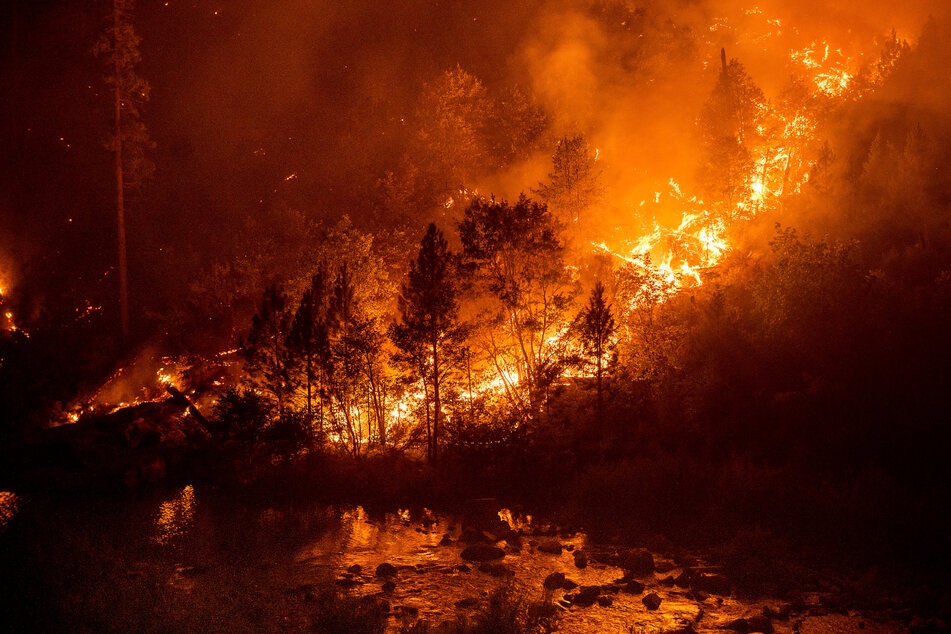 Durch die Klimakatastrophe hat die Anzahl der Waldbrände, unter anderem auch in Kalifornien zugenommen.
