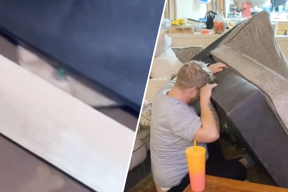 Pärchen kauft gebrauchte Couch: Dann hört es plötzlich Geräusche aus dem Inneren