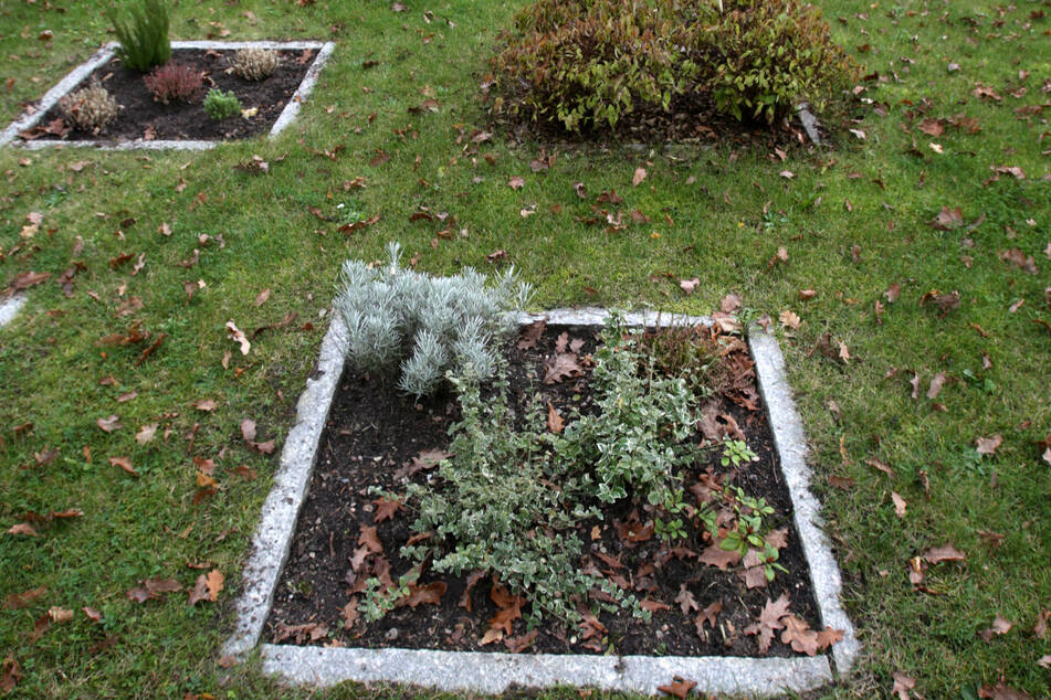 Verstorbene ohne Angehörige werden häufig nicht in Einzelgräbern, sondern in Gemeinschaftsgrabanlagen beigesetzt. Die Kosten übernehmen die Kommunen.