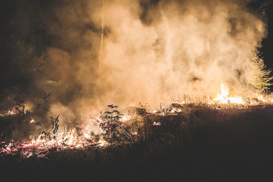 Die Feuerwehr ist aktuell Stammgast im Geraer Stadtwald. In den vergangenen Tagen hatte es dort immer wieder gebrannt.