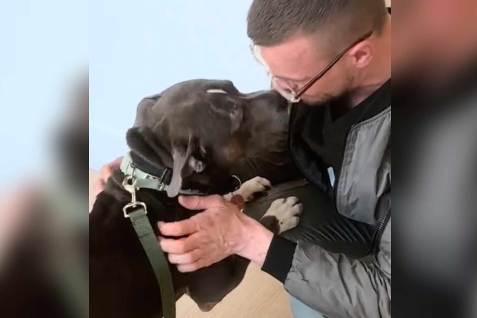 The animal lovers immediately arranged to meet, and soon the dog and his owner were finally reunited.