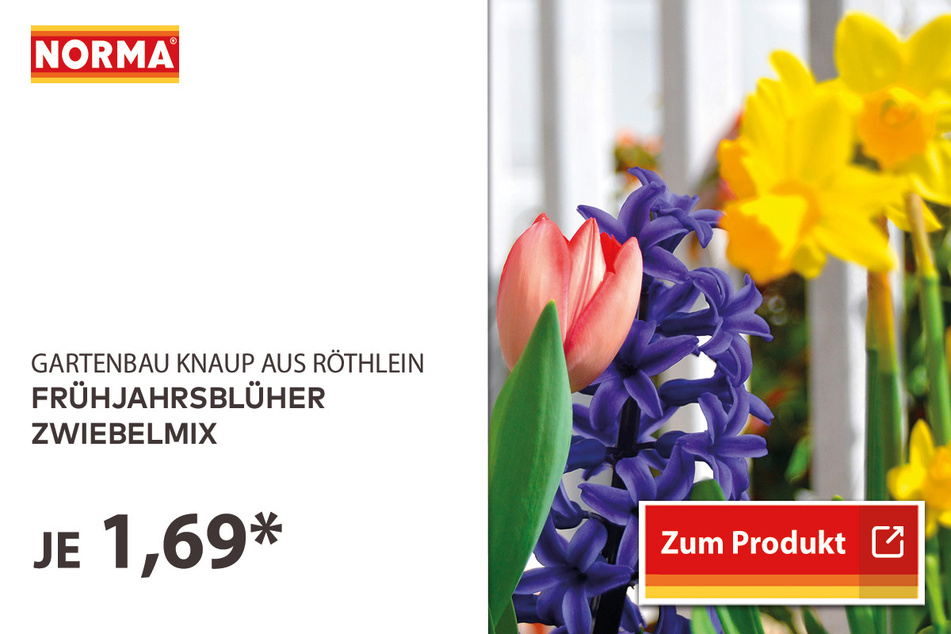 Frühjahrsblüher Zwiebelmix für 1,69 Euro.