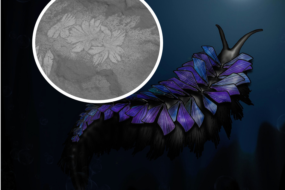 Neu entdeckter fossiler Wurm nach Tieren aus Science-Fiction-Roman benannt