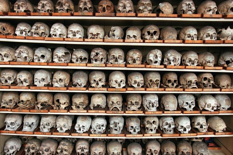 Blick auf die Schädelsammlung des Leipziger Instituts für Anatomie - diese will die Universität jetzt komplett auflösen und alle Schädel in deren Herkunftsländer überführen.