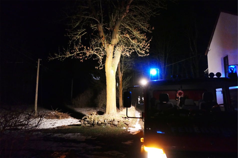 Am Mittwochabend war in Döben ein Baum auf eine Stromleitung gekippt.