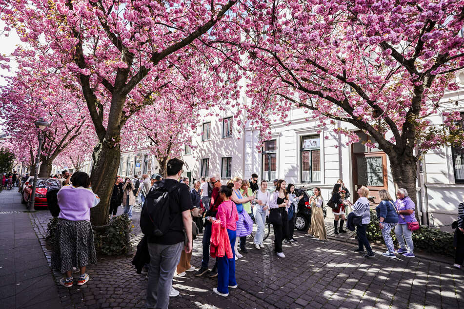 Frühlings-Highlight in NRW: Hier lohnt sich ein Besuch zu Ostern