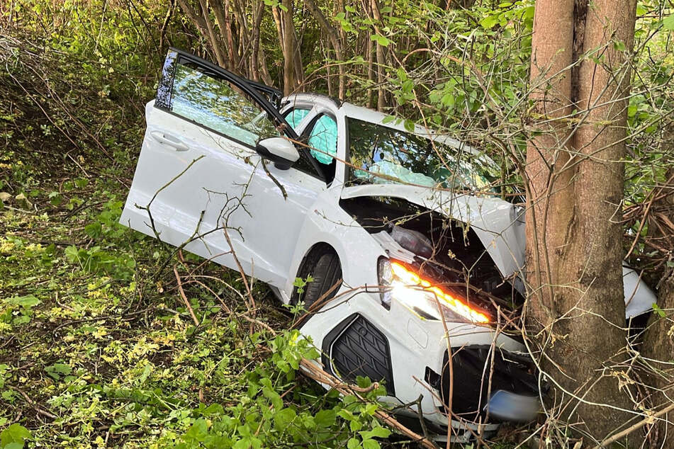 Der demolierte Audi blieb an im Gebüsch an einem Baum stehen.