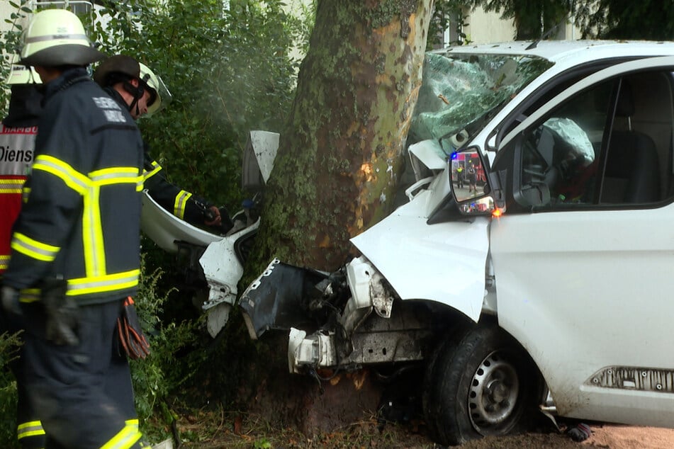In einer Linkskurve fuhr der Fahrer geradeaus und krachte gegen einen Baum.