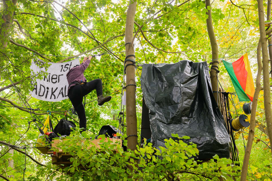 Aktivisten von "Ende Gelände" stehen auf einem Baumhaus in unmittelbarer Nähe zum Südschnellweg.