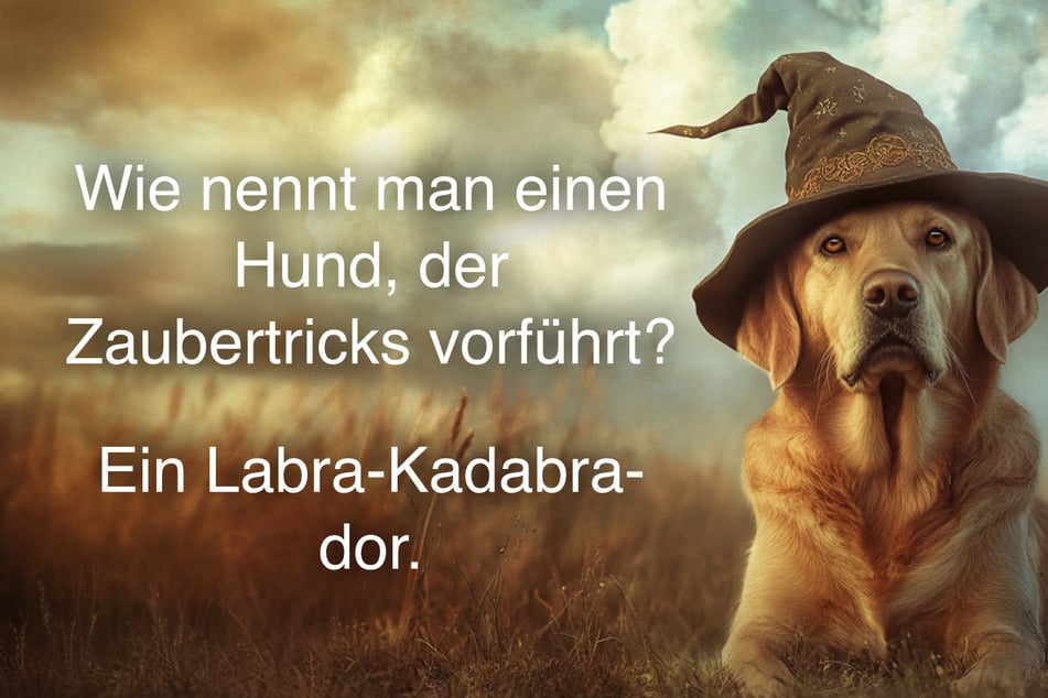 Wie nennt man einen Hund, der Zaubertricks vorführt? Ein Labra-Kadabra-dor.