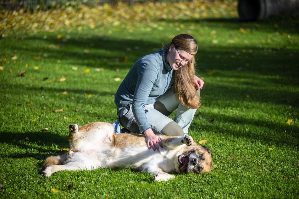 Hündin Maxi (9) genießt die Streicheleinheiten von Vanessa Haasper (32).