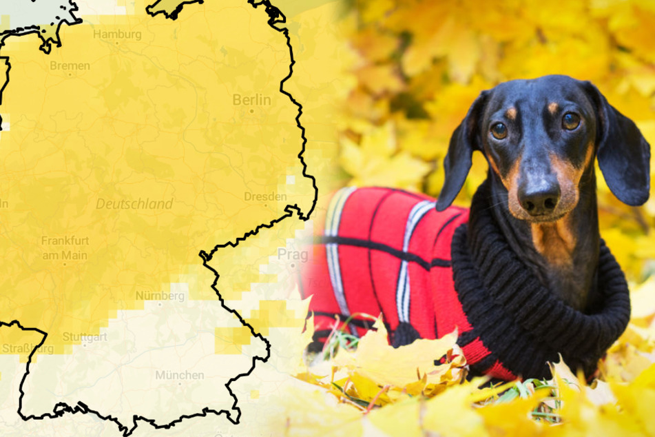 Der Wochenstart in den November wird ungewöhnlich warm.