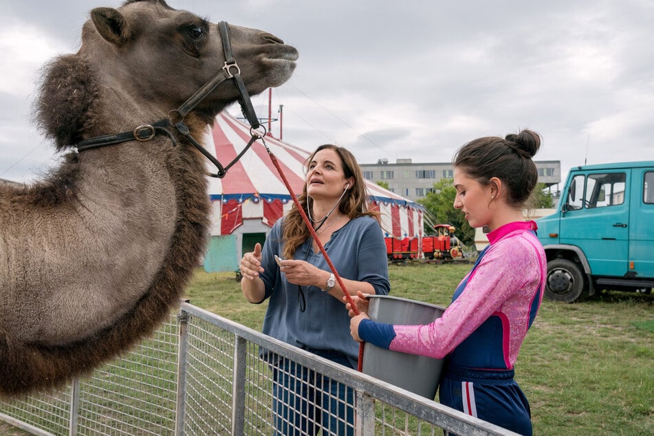 Tierärztin Dr. Susanne Mertens wird zu einem besonderen Fall außerhalb des Zoos gerufen.