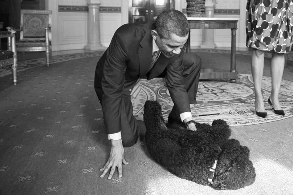 "Naturgewalt" im Weißen Haus: Barack Obama trauert um Hündin Sunny (†13)