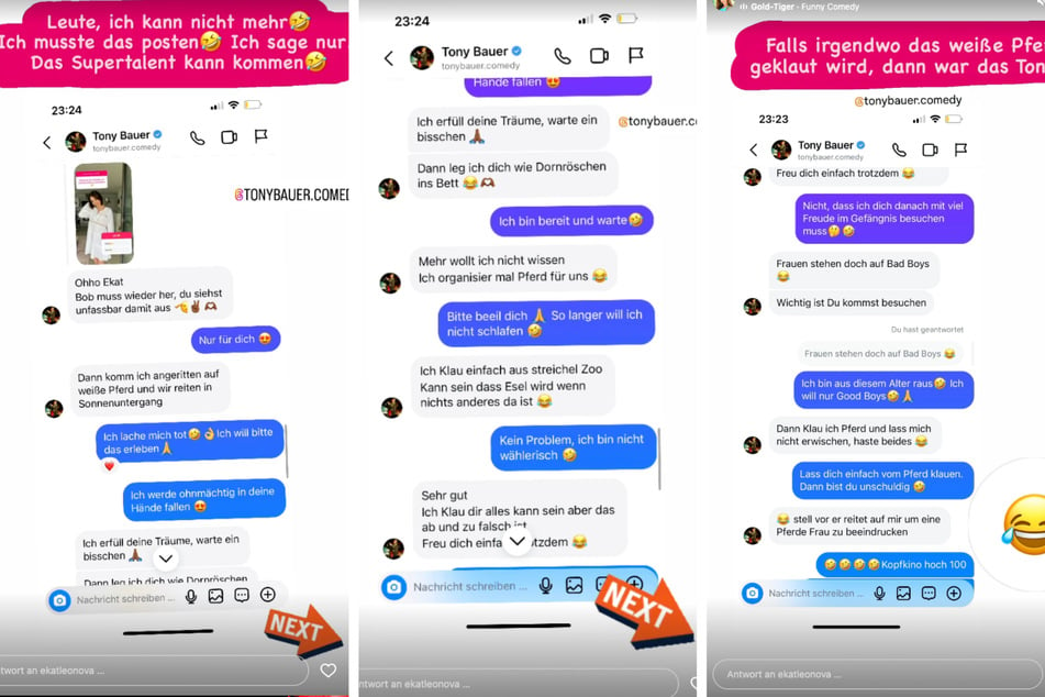 In ihrer Instagram-Story teilte Ekat die witzigen Screenshots des Chats mit Tony Bauer (28).