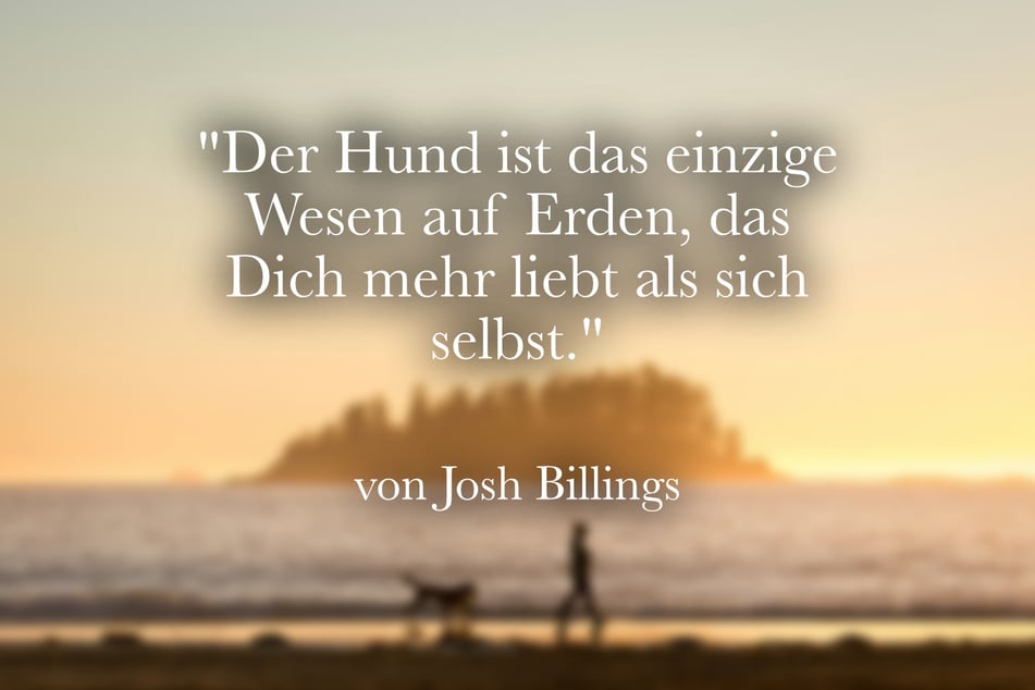 Josh Billings merkte an: "Der Hund ist das einzige Wesen auf Erden, das Dich mehr liebt als sich selbst."