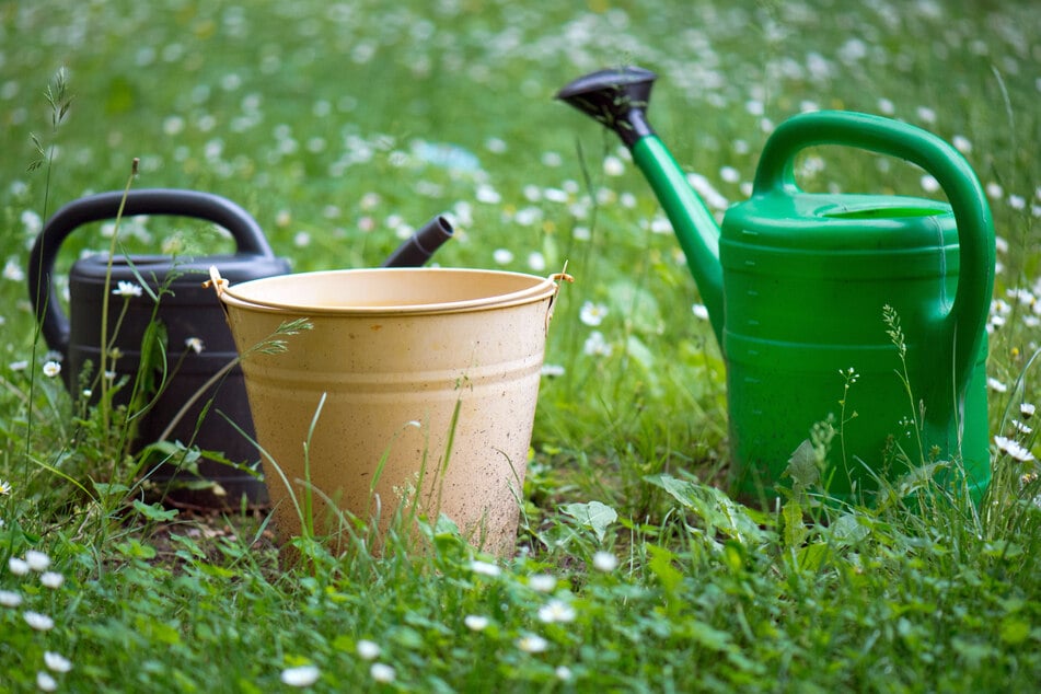 Gartenarbeit kann sich lohnen - weiß jetzt auch ein Ehepaar aus der englischen Küstenregion Hampshire.
