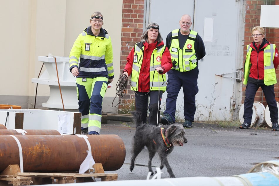 Jeder Hund kann prinzipiell Leichensuchhund werden, wenngleich einige Hunderassen dafür weniger geeignet sind.