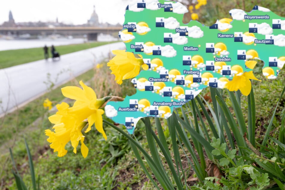 Schluss mit Schmuddelwetter: Wird's jetzt endlich Frühling in Sachsen?