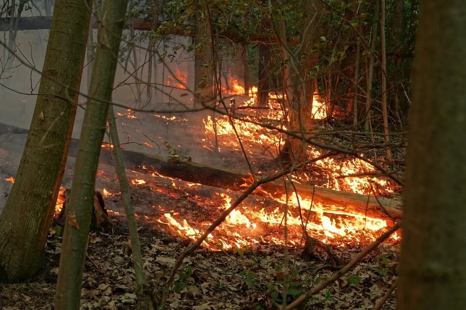 Flammen breiteten sich am Abend aus.