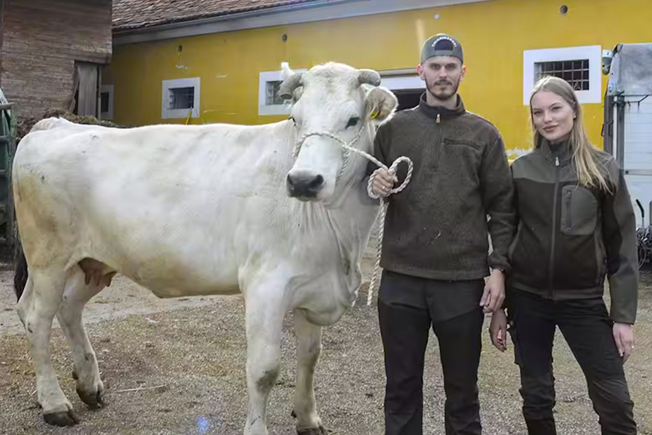 Cheyenne Ochsenknecht (23) und ihr Mann Nino Sifkovits (27) werden die "Beef Boys" mit Fleisch von ihren Chianina-Rindern beliefern.