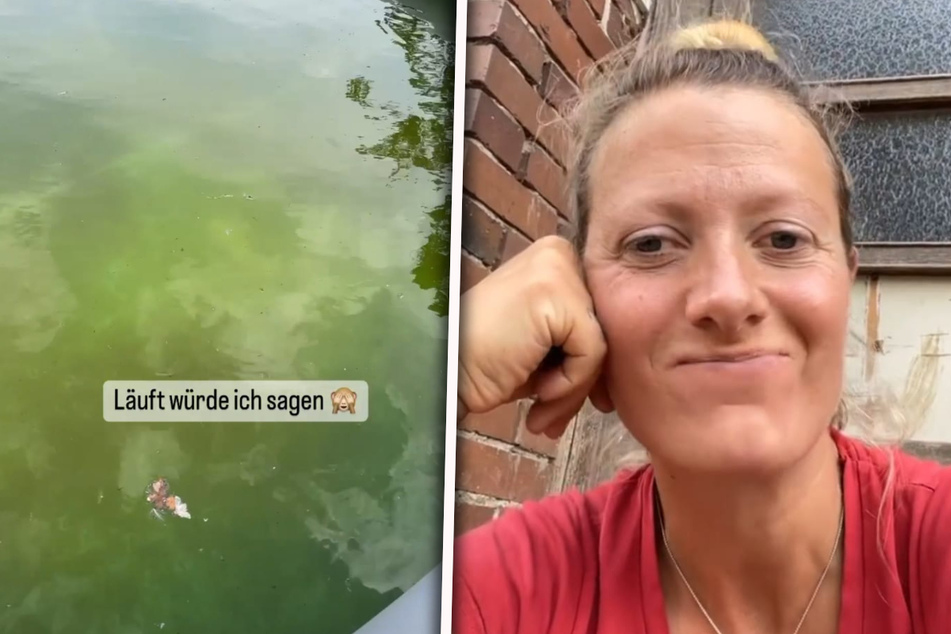 Bauer sucht Frau: Bauer sucht Frau: Schwangere Denise Munding macht Ekel-Entdeckung im Pool