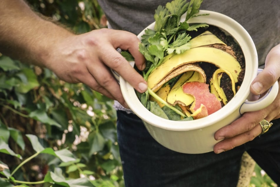 Wie kann man aus Bananenschalen Köstliches zaubern? Ein Workshop bringt es Euch bei.