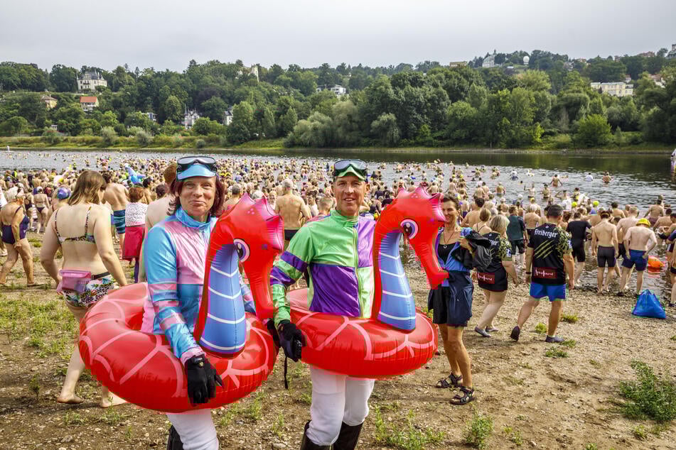 Spaß ist wichtiger als die Zeit: Diese beiden Jockeys reiten beim Elbeschwimmen süße Seepferdchen.